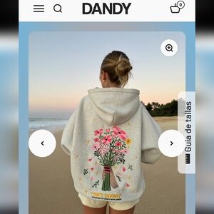 DANDY  Light Gray Hoodie Sweater with Floral Embroidery